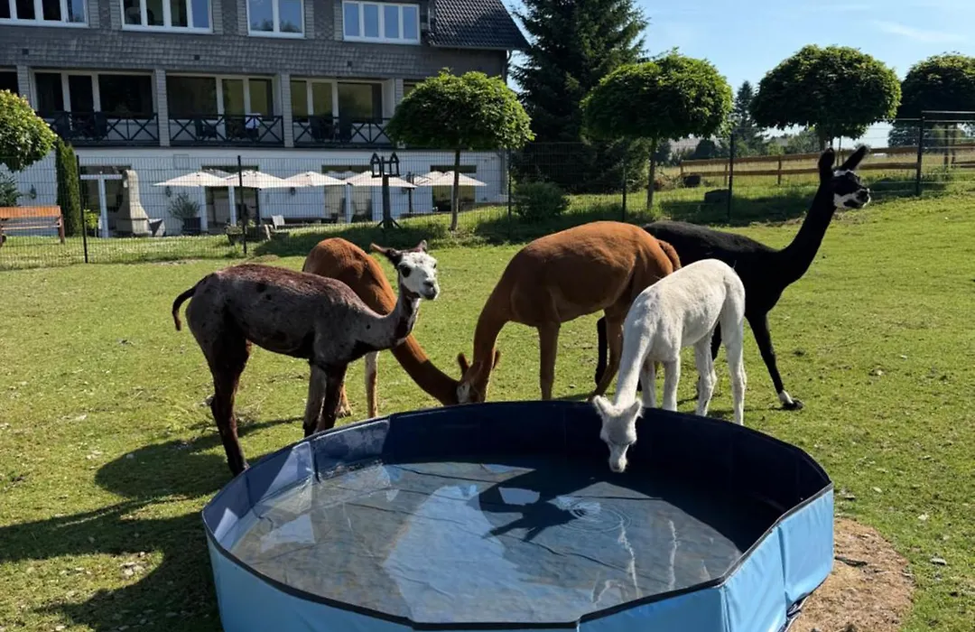 Landhotel Flora & Fauna (Adults Only)-1